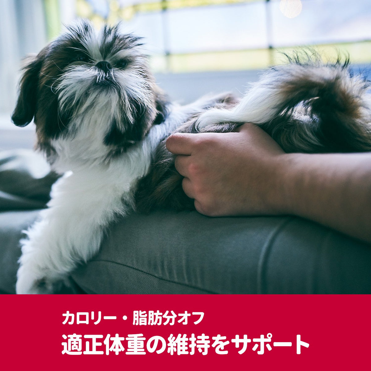 サイエンスダイエットPRO〈プロ〉 健康ガード 体重管理 1～6歳 小型犬