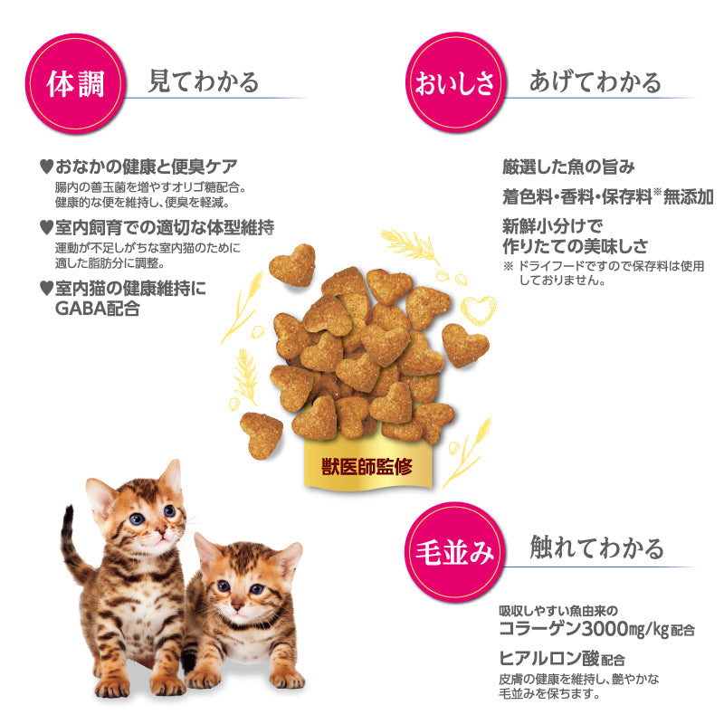 ビュティープロ キャット 子猫用 12ヵ月頃まで