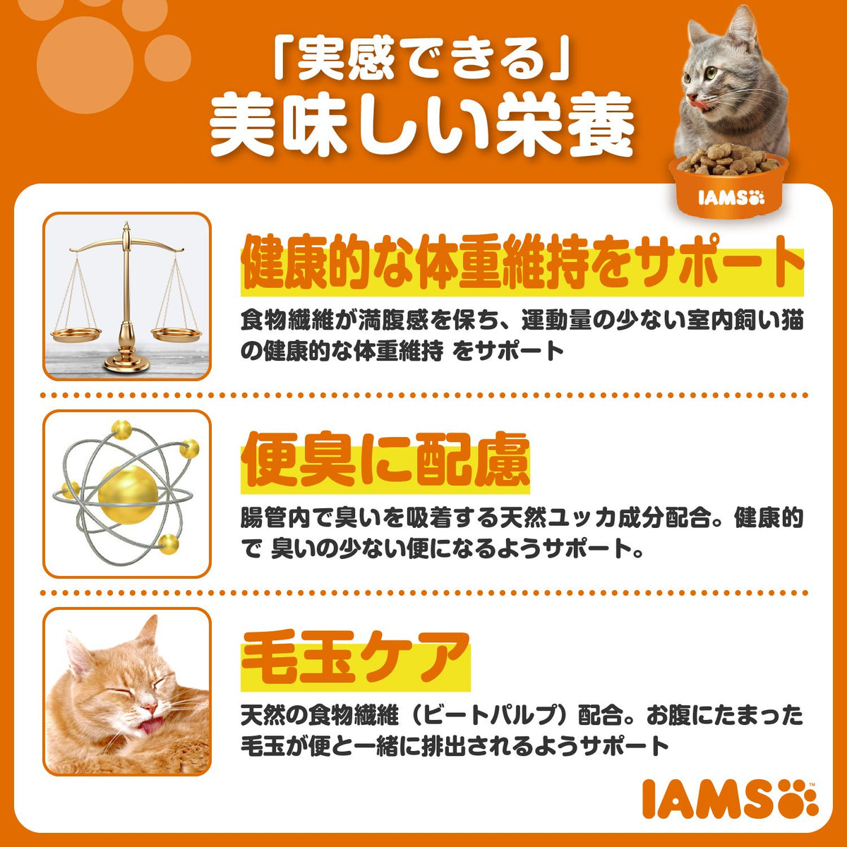 アイムス 成猫用 インドアキャット チキン