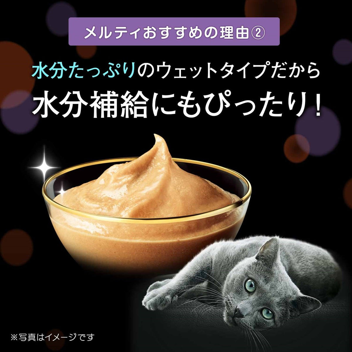 【猫用】シーバ とろ～り メルティ かつお味セレクション 12g×20P