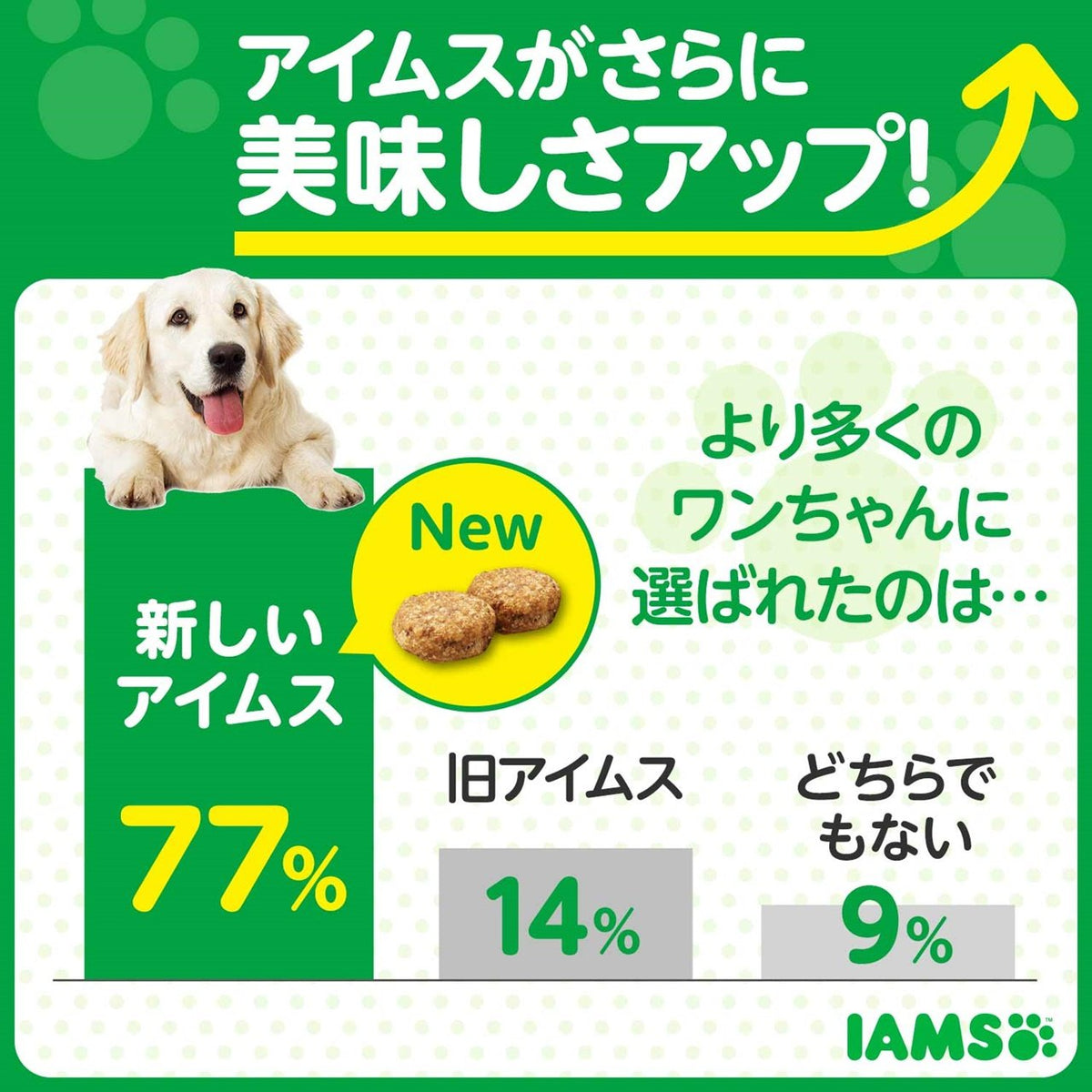 アイムス 成犬用 健康維持用 チキン 小粒 | ペトマ