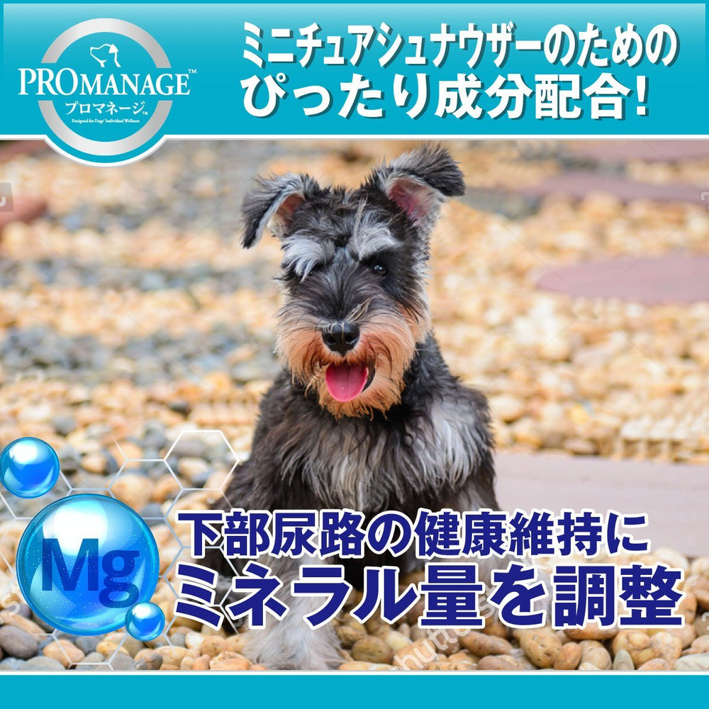 プロマネージ 成犬用　ミニチュアシュナウザー専用