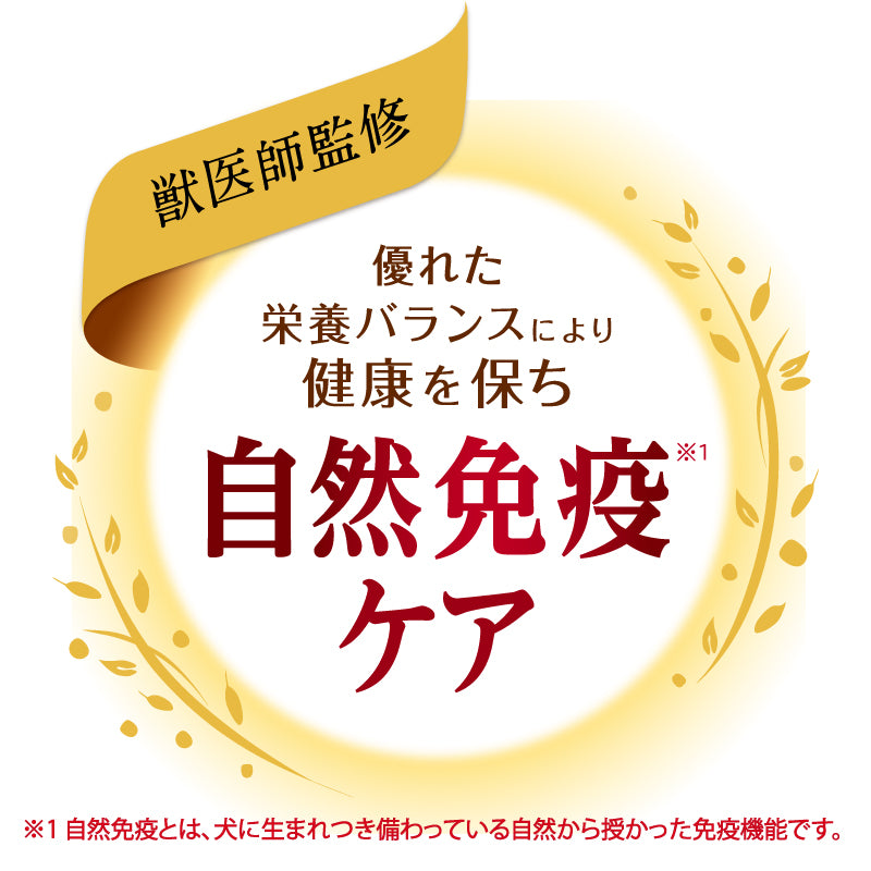 ビューティープロ  ドッグ  食物アレルゲンに配慮 1歳から